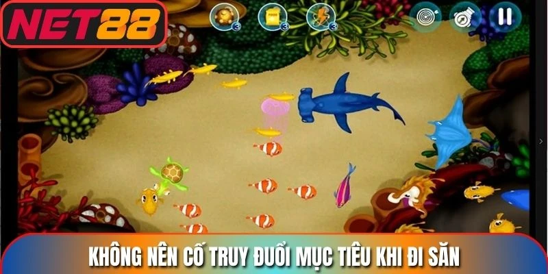 Không nên cố truy đuổi mục tiêu khi đi săn