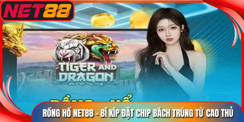 Rồng Hổ Net88 - Bí Kíp Đặt Chip Bách Trúng Từ Cao Thủ