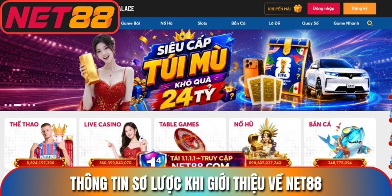 Thông tin sơ lược khi giới thiệu về Net88