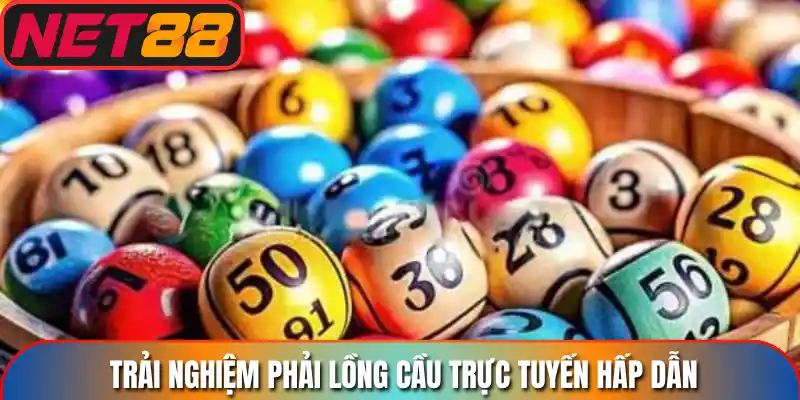 Trải nghiệm phải lồng cầu trực tuyến hấp dẫn